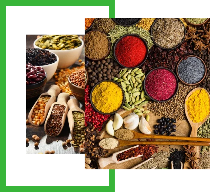 about nitin spices