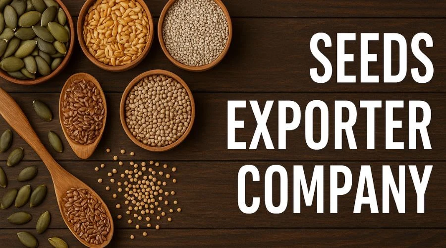 seeds exporter company powering agriculture with quality seeds for a sustainable future