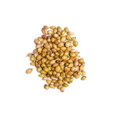 coriander seeds