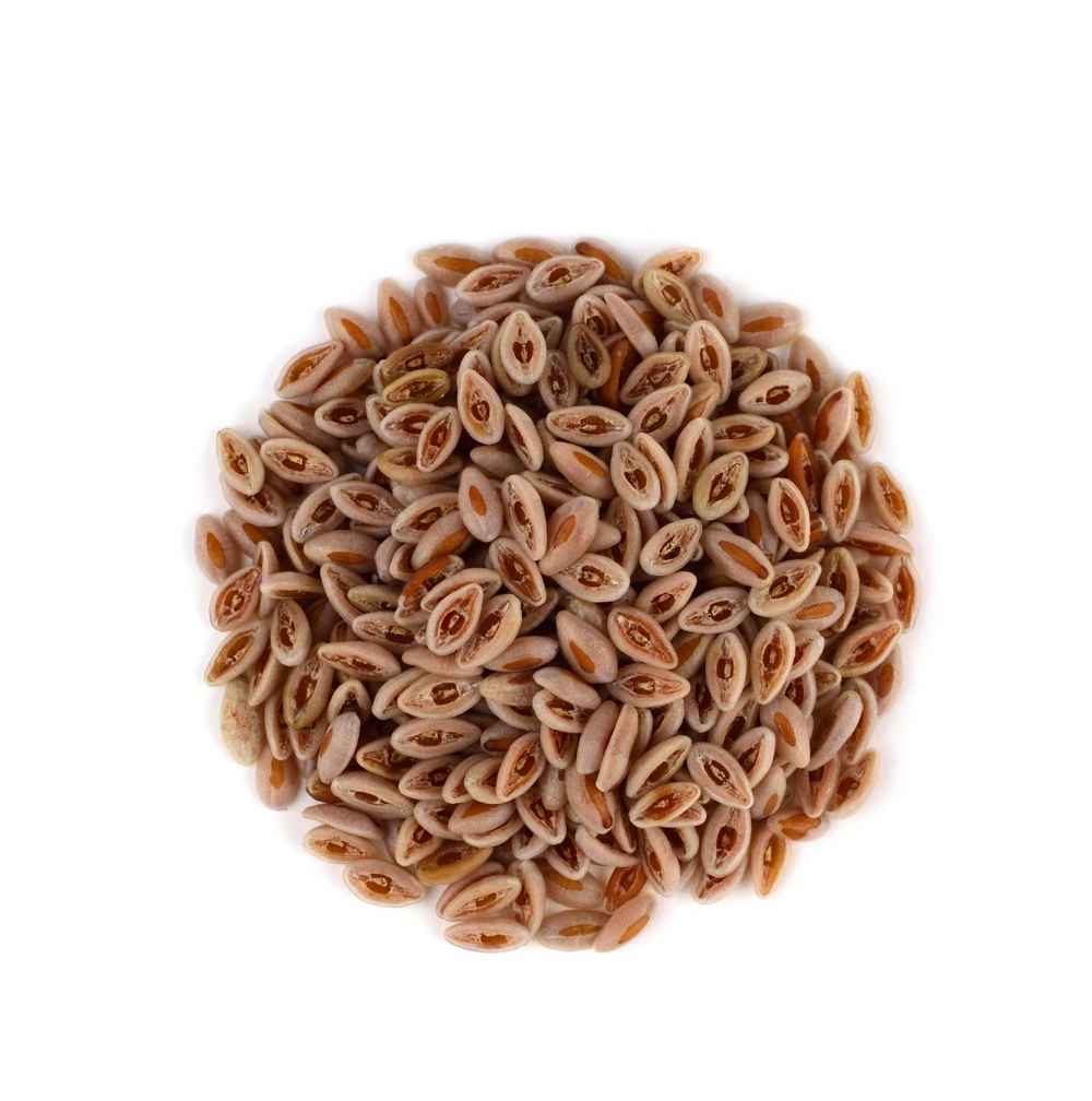 psyllium husk