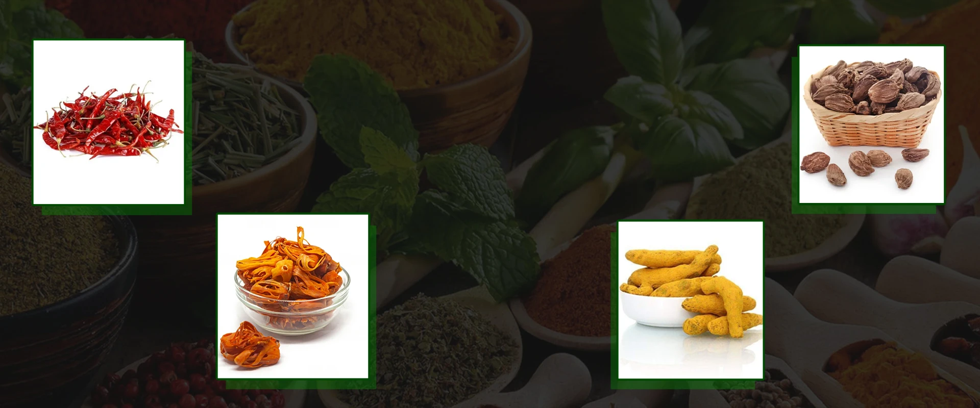 spices exporter company